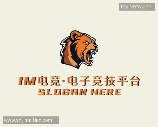 上海极限运动队的灵活性探索与发展：挑战极限的激情与创新