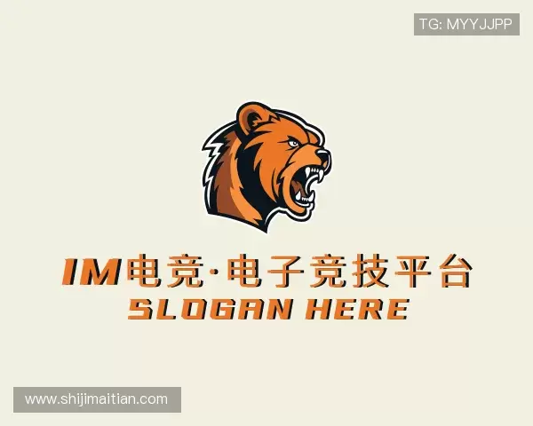 关于IM电竞